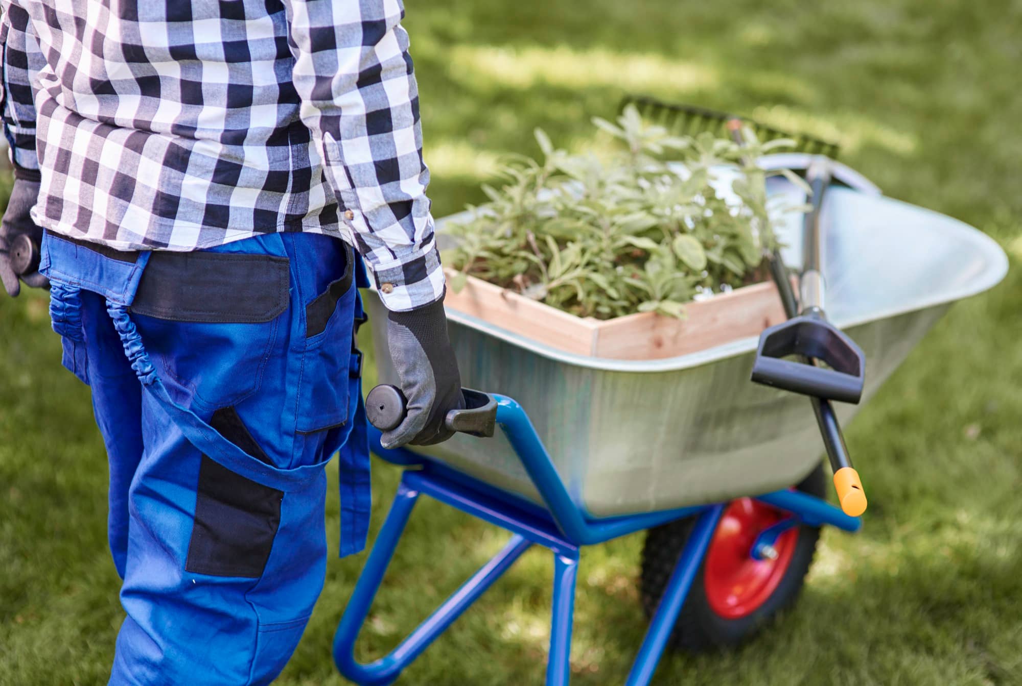 Garden Clearance