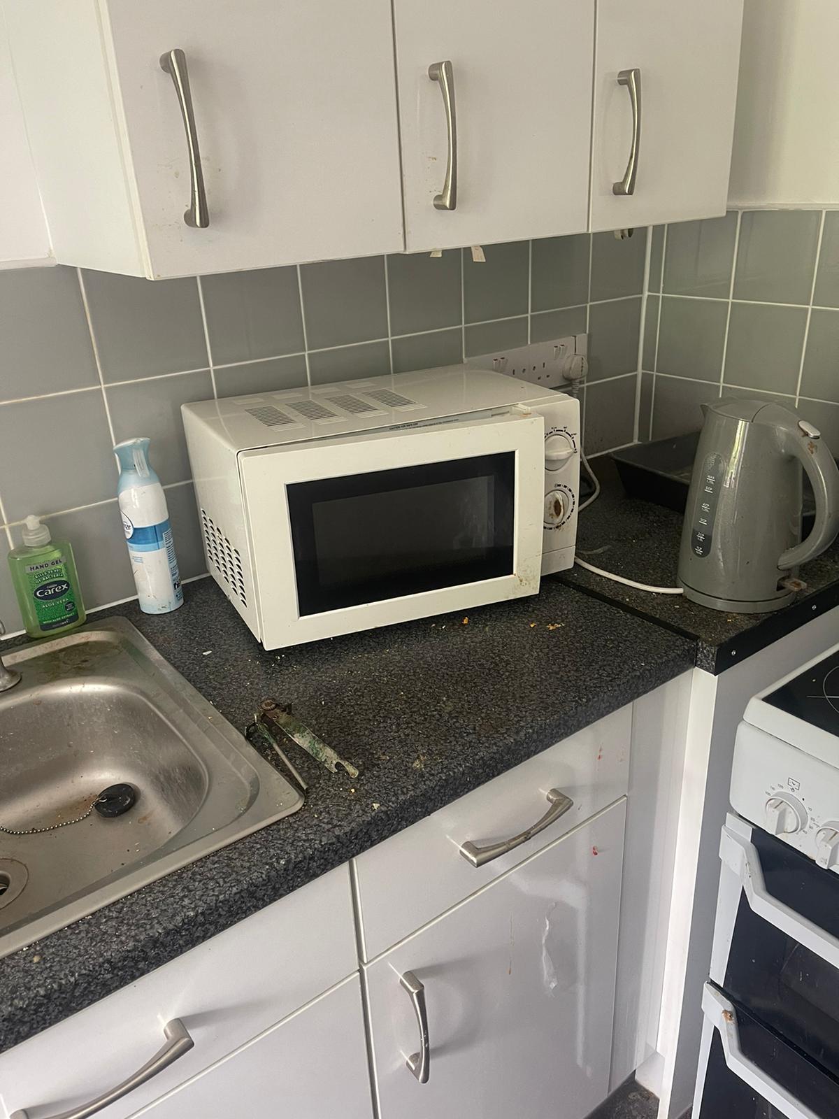 DIY House Cleaning