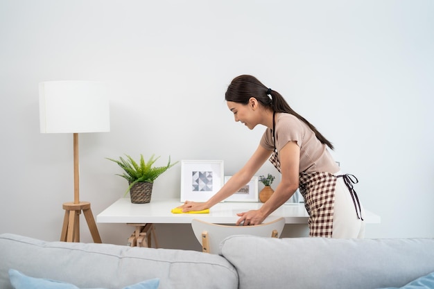 Working from Home Cleaning