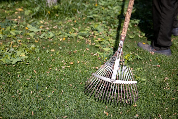 Garden Clearance Solutions for Clean, Safe, and Usable Outdoor Spaces