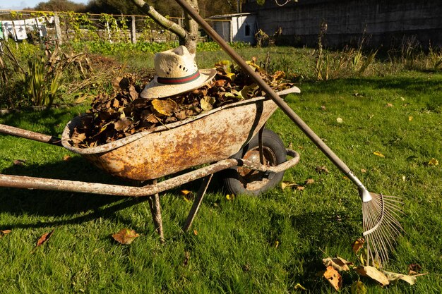 Garden Clearance in Manchester