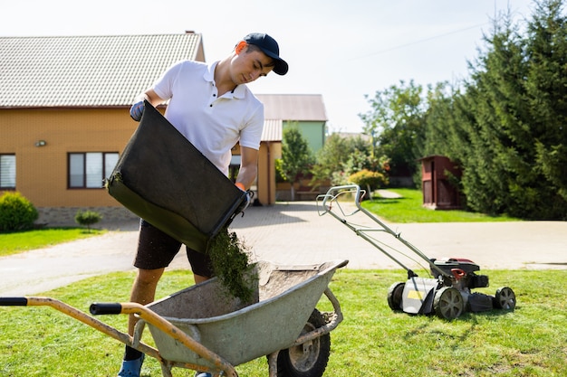 Grass cuttings and leaves